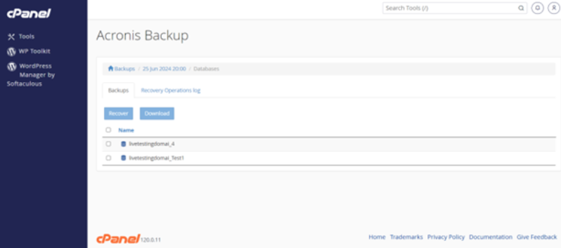 Acronis Backup Module - Select Databases To Recover