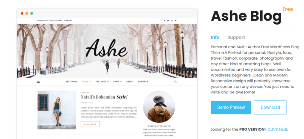 Ashe - Free WordPress Theme 9 - beautiful layout, powerful customization