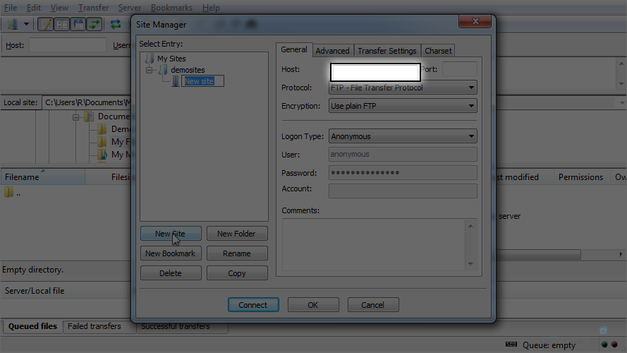 Configure a Site in FileZilla - General - Host Details