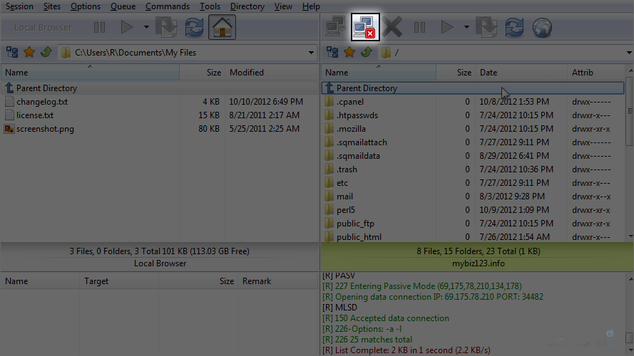 FlashFXP - Disconnect Icon