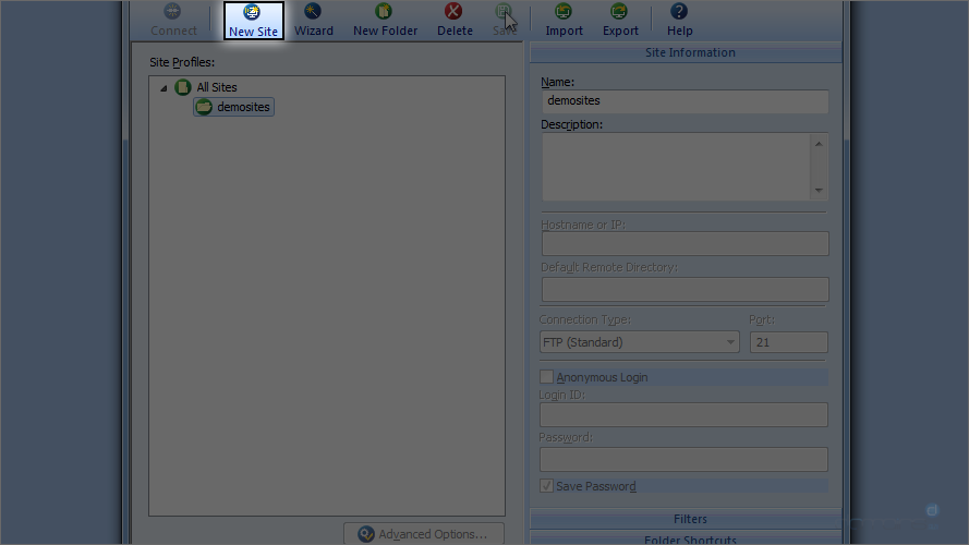 FTP Voyager Screen - Select New Site