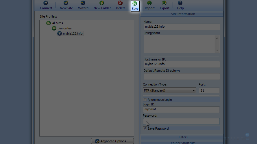 FTP Voyager Screen - Save New Site