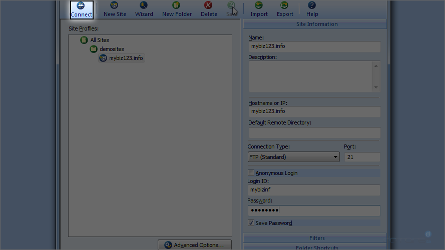 FTP Voyager Screen - Save Site Information