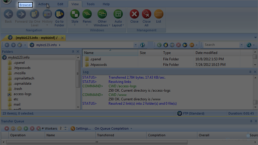 FTP Voyager Screen - Browser Tab for New Site