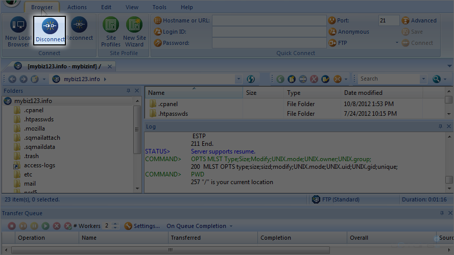 FTP Voyager Screen - Disconnect from Browser