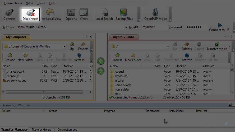 Configure a Site in WS FTP - Disconnect