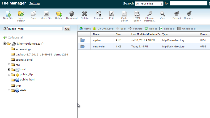 Use The cPanel Disk Space Usage Tool - File Manager Settings