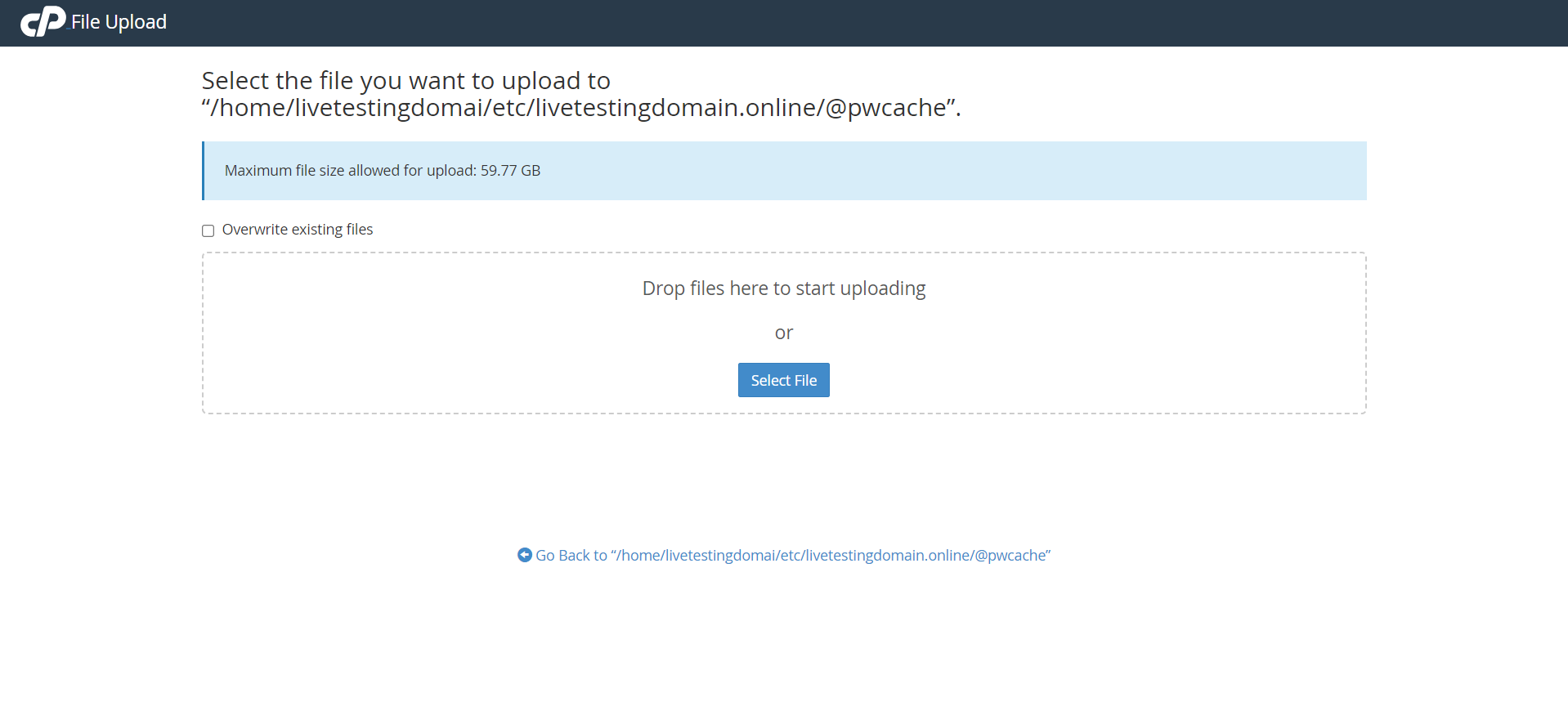 Use cPanel File Manager - Upload Files