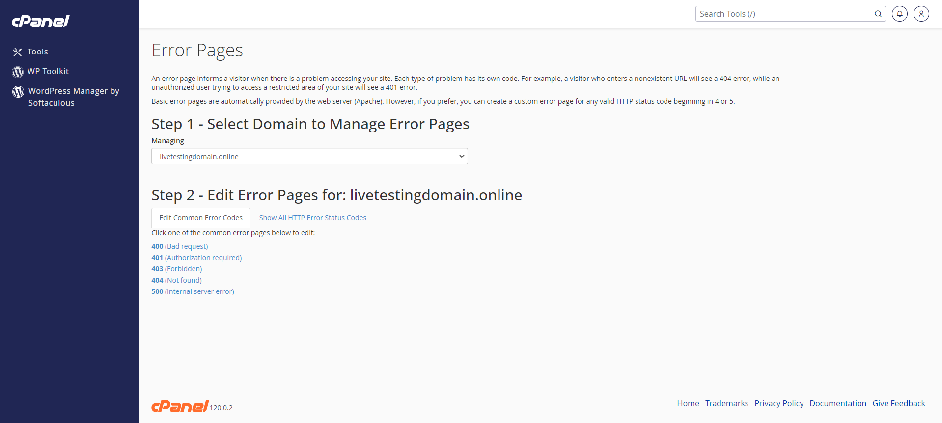Create A Custom Error Page in cPanel - Error Pages