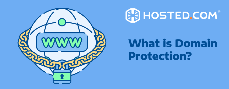 What is Domain Protection?