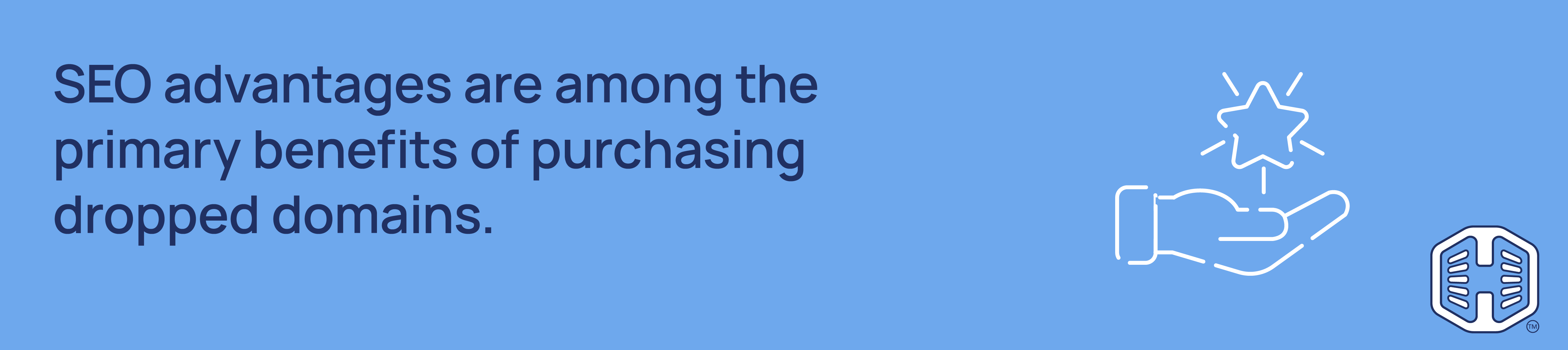 Strip Banner Text - SEO advantages are among the primary benefits of purchasing dropped domains