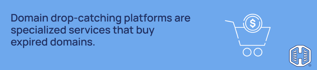 Strip Banner Text - Domain drop-catching platforms are specialized services that buy expired domains.