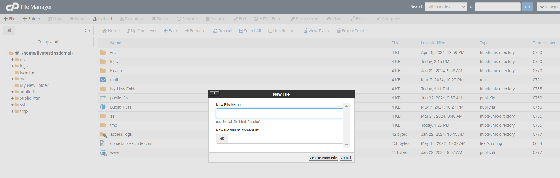 How To Live Test A Website And Keep It Hidden From Public View - cPanel File Manager Dashboard