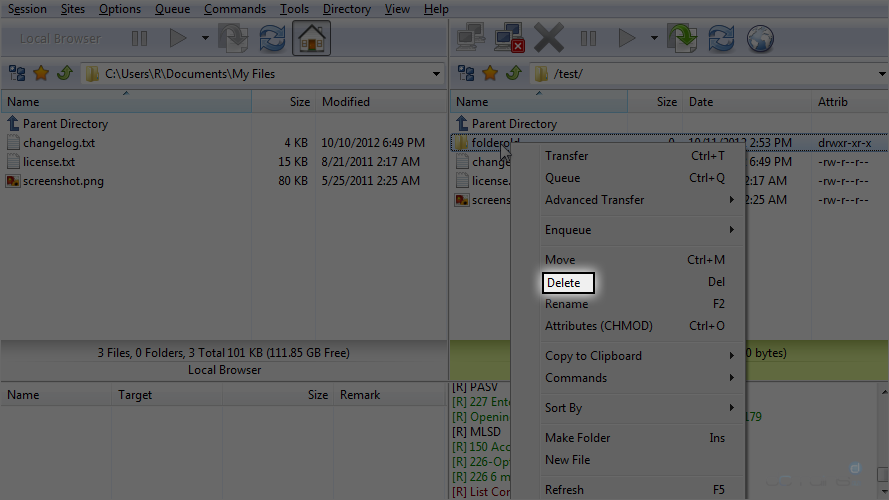 Manage Files in FlashFXP - Select Delete