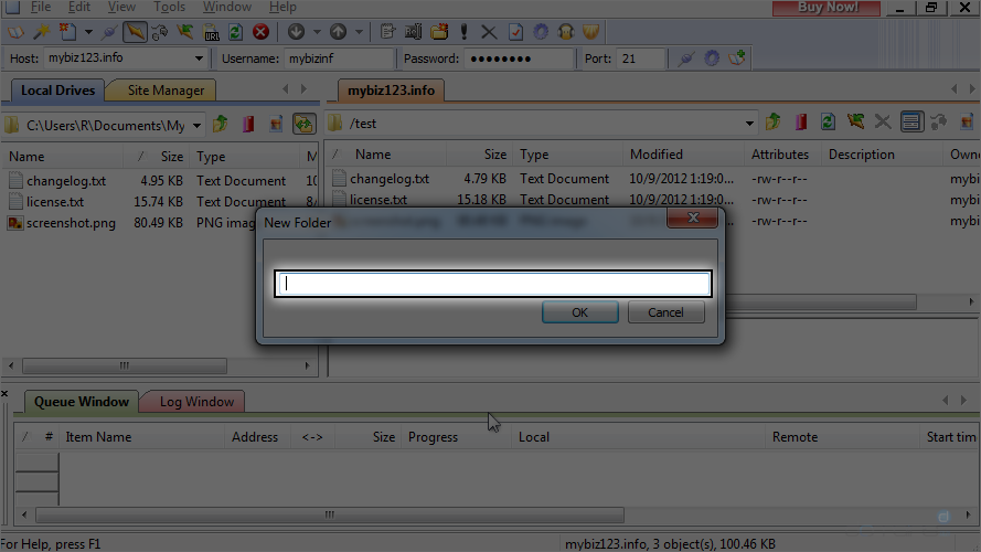 Manage Files In CuteFTP - Name New Folder