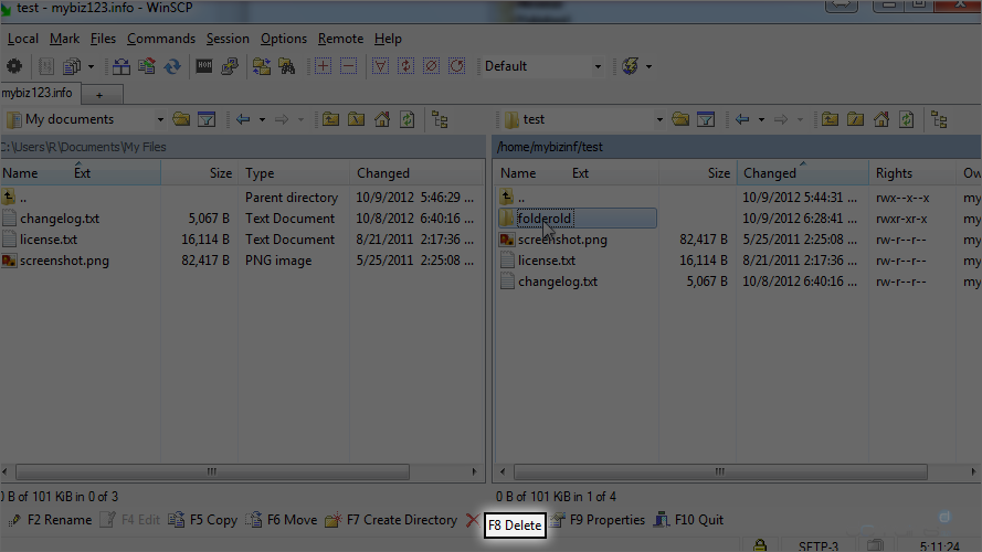 How To Manage Files Using WinSCP - Delete Folder