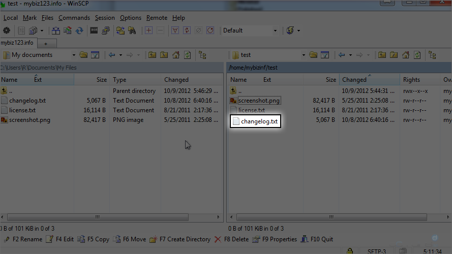 How To Manage Files Using WinSCP - Select changelog.txt