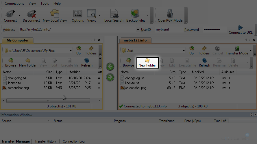 Manage Files in WS FTP - New Folder