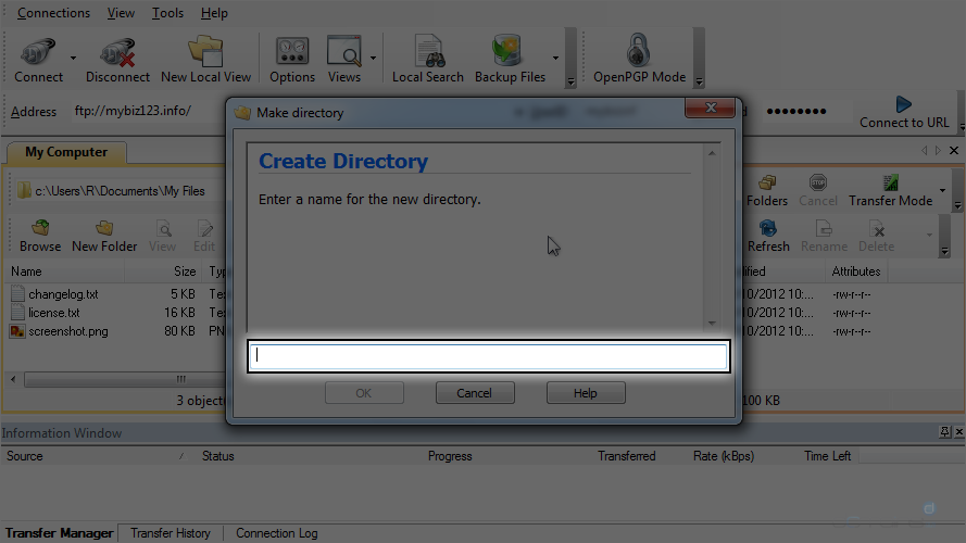 Manage Files in WS FTP - Name New Folder