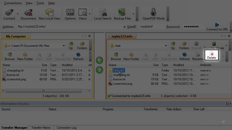 Manage Files in WS FTP - Delete a Folder