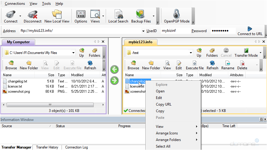 Manage Files in WS FTP - Permissions
