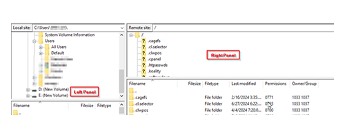 How to Reinstall WordPress: Troubleshooting Guide - FileZilla Panels