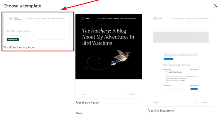 How to Create a WordPress Landing Page - Swap Landing Page Template