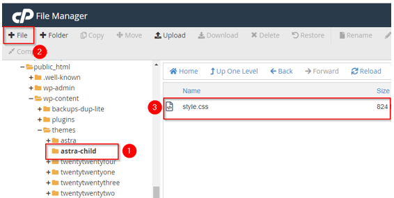 How to Create a WordPress Landing Page - Create style.css File