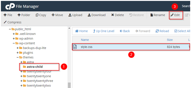 How to Create a WordPress Landing Page - Edit style.css File in Child Theme