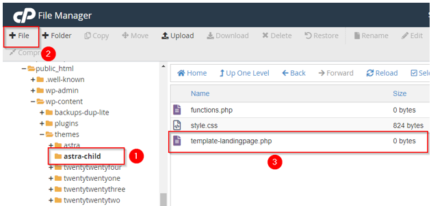 How to Create a WordPress Landing Page - Create template-landing.php File in Child Theme