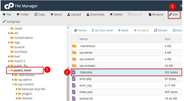 Fix the WordPress 500 Internal Server Error - Edit .htaccess File