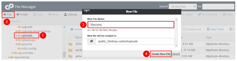WordPress Hacked - Check, Repair, Prevent - Create New File