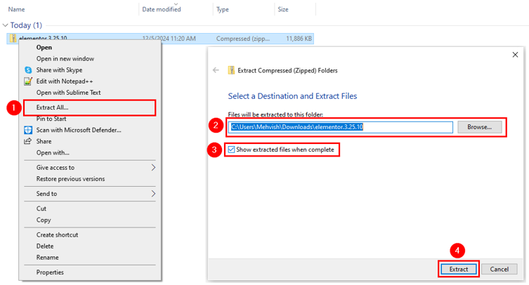 Update WordPress Plugins - Extract Plugin Files