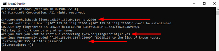 Update WordPress Plugins - Connect to Web Server