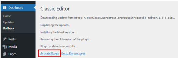 Update WordPress Plugins - Activate Plugin