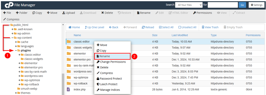 Update WordPress Plugins - Rename Plugin to Deactivate It