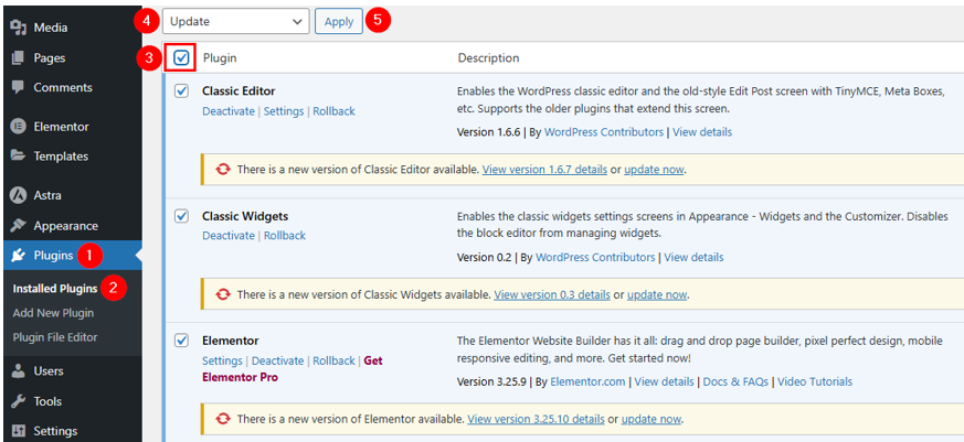 Update WordPress Plugins - Update Plugins in Bulk