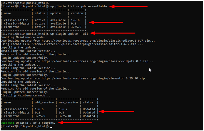 Update WordPress Plugins - Update All Plugins
