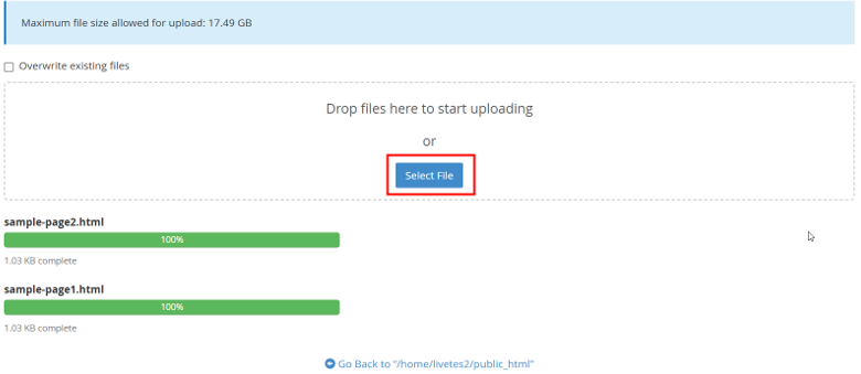 How To Upload HTML Files To WordPress -Select HTML Files to Upload to Site’s Root Directory