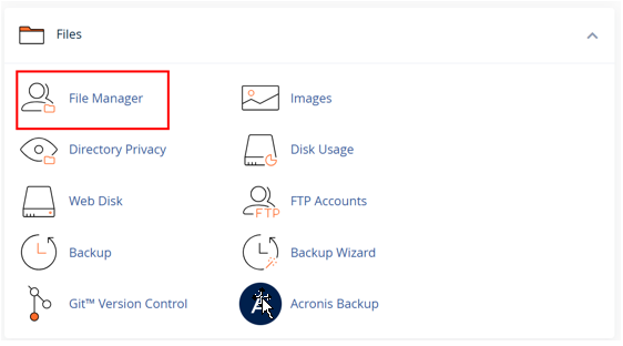WordPress Revisions - Open File Manager