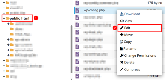 WordPress Revisions - Edit