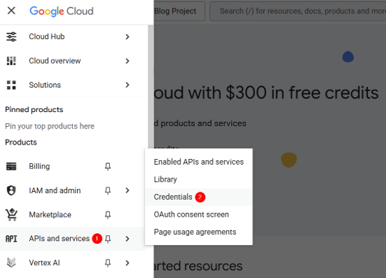 Embed Google Reviews In WordPress - Go to APIs and Services Credentials Settings