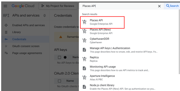 Embed Google Reviews In WordPress - Select Places API