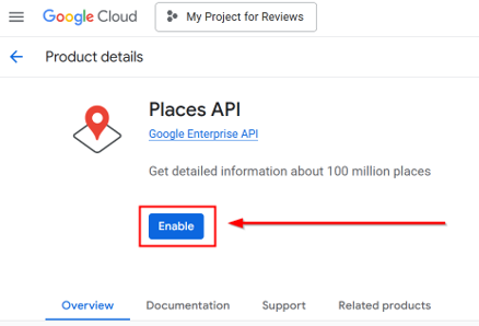 Embed Google Reviews In WordPress - Activate Places API