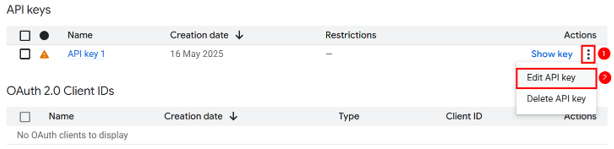 Embed Google Reviews In WordPress - Edit API Key