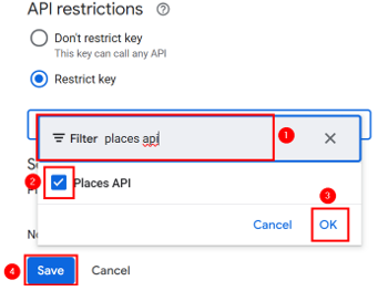 Embed Google Reviews In WordPress - Select Places API and Save Settings