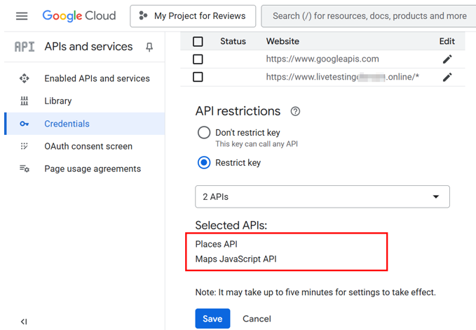Embed Google Reviews In WordPress - Choose Required APIs