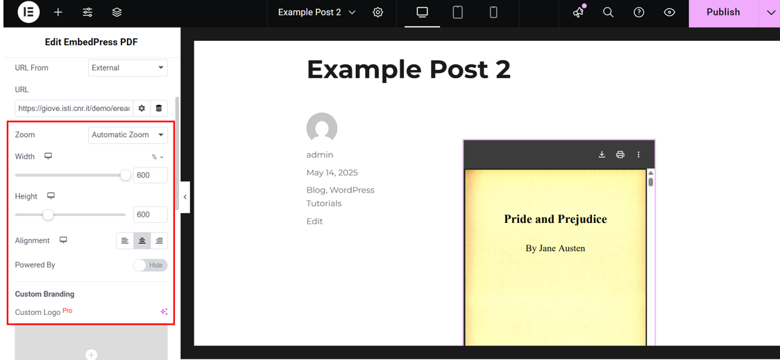 How To Embed A PDF In WordPress - Adjust Viewer Settings