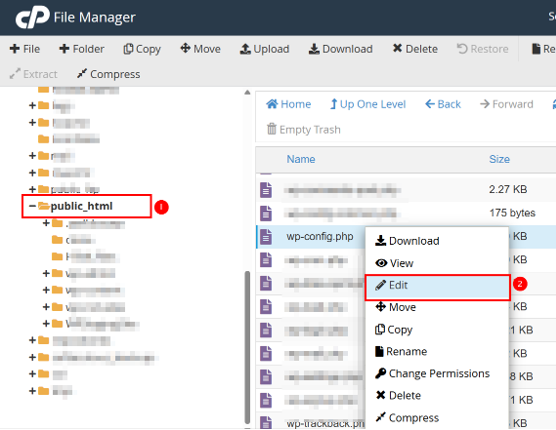 WordPress Salts & Security Keys - Edit wp-config.php File