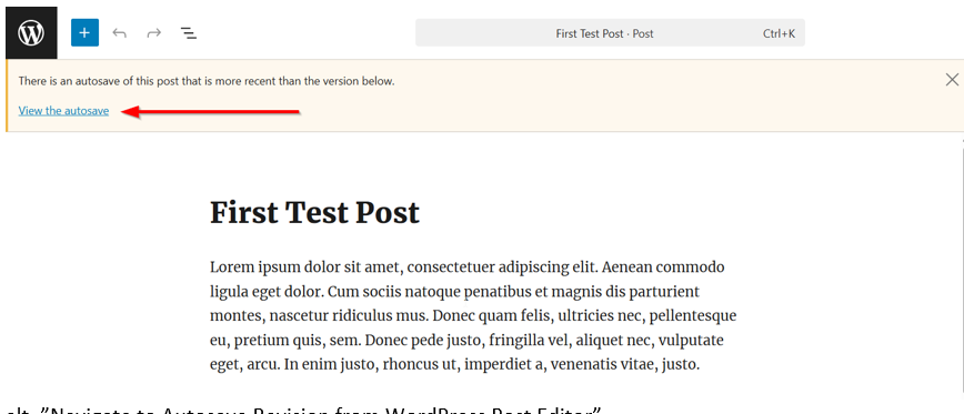 Undo Changes In WordPress - Navigate to Autosave Revision from WordPress Post Editor